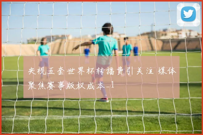 央视五套世界杯转播费引关注 媒体聚焦赛事版权成本_1