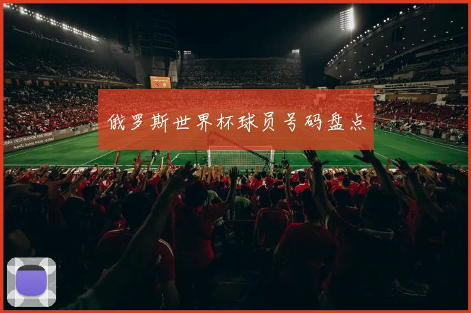俄罗斯世界杯球员号码盘点